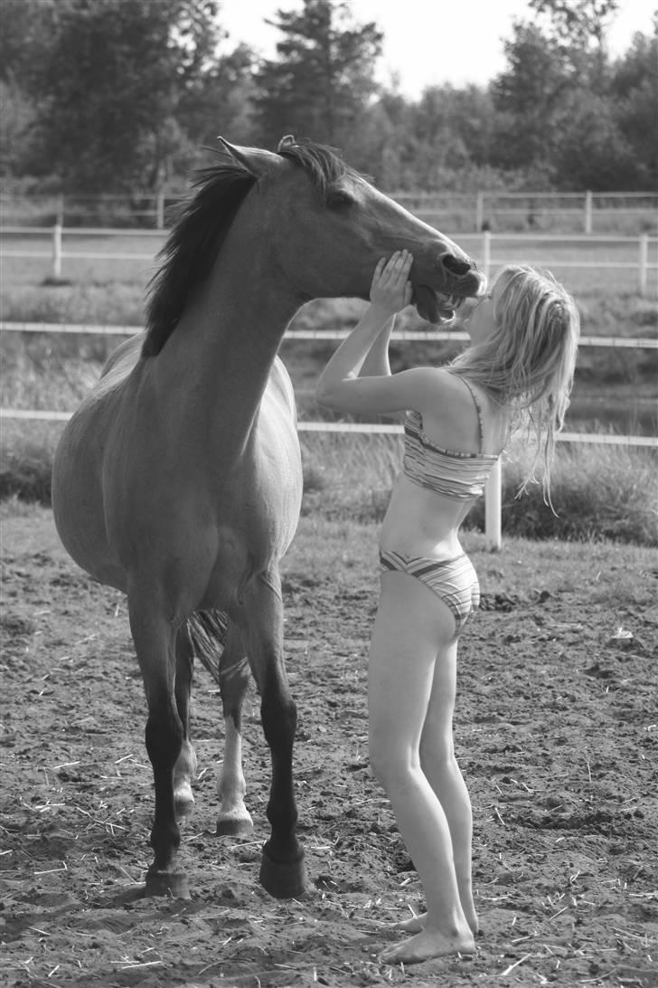 Anden særlig race Bailey Rough  - Bailey elsker at give kys billede 3