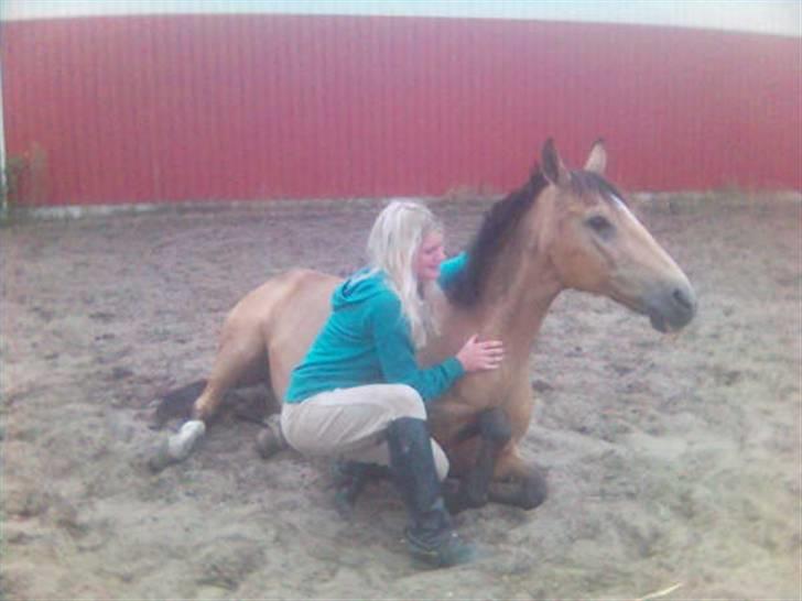 Anden særlig race Bailey Rough  - Det så dejlig at rulle sig;) billede 7