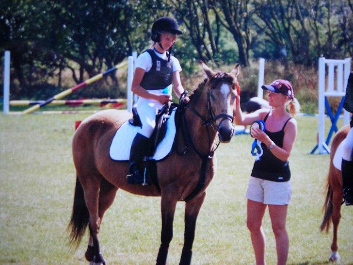 Anden særlig race Bailey Rough  - Bailey styrer! billede 8