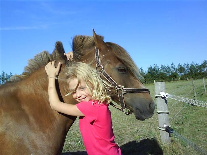 Anden særlig race Joy *SOLGT*   - bedste veninde og joy foto : mig<3 billede 14