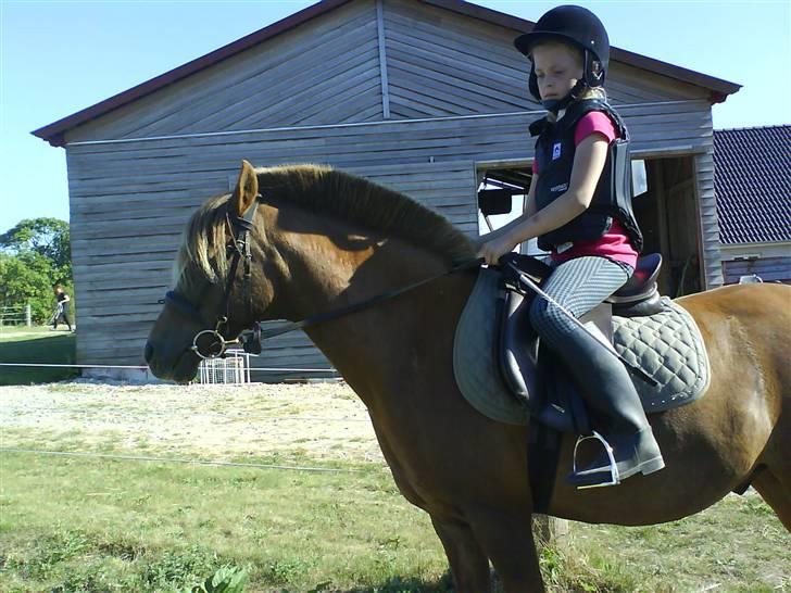 Anden særlig race Joy *SOLGT*   - Bedste veninde og Joy foto : mig<3 billede 15