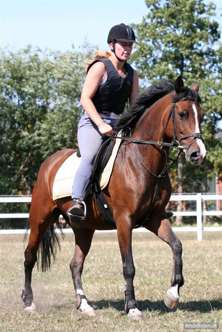 DSP Atlanta (DØD) R.I.P - er bare så vild med det (: Foto : Lone . P  billede 16