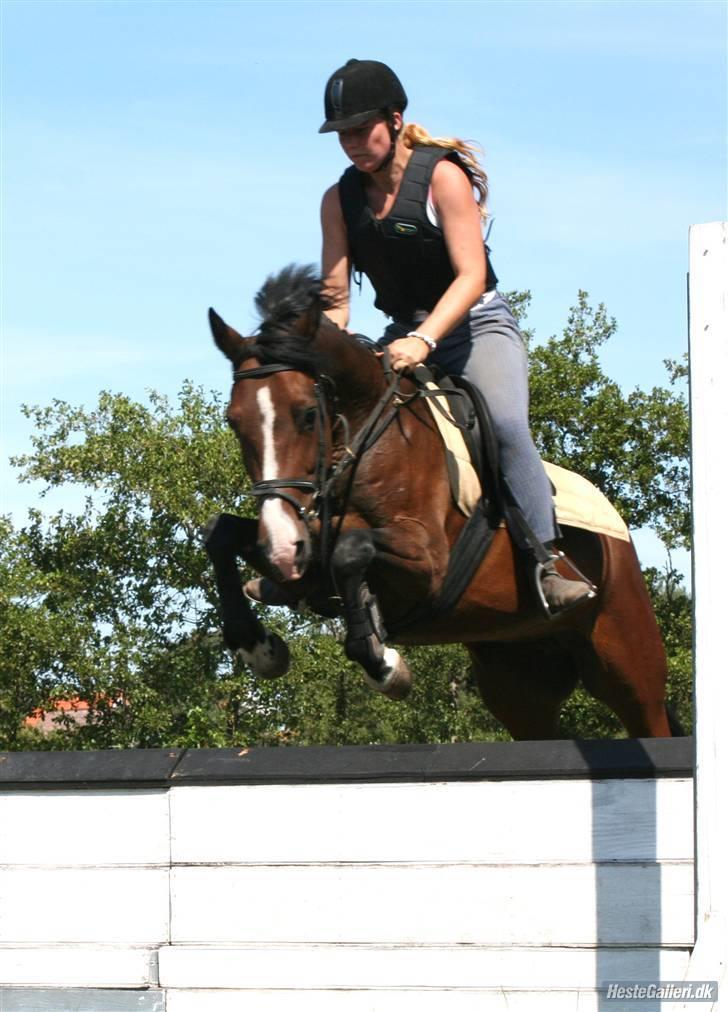 DSP Atlanta (DØD) R.I.P - Første gang hun sprang mur && hun hoppede bare , det var fantastisk at se (; Foto : Lone . P  billede 17