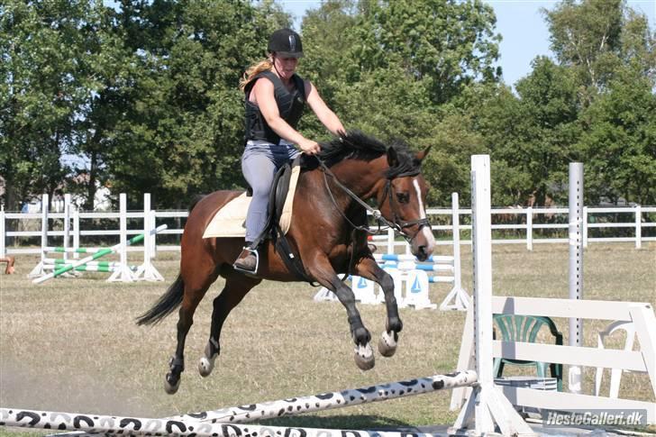 DSP Atlanta (DØD) R.I.P - Første gang hun sprang Vand (L) Foto : Lone . P  billede 18