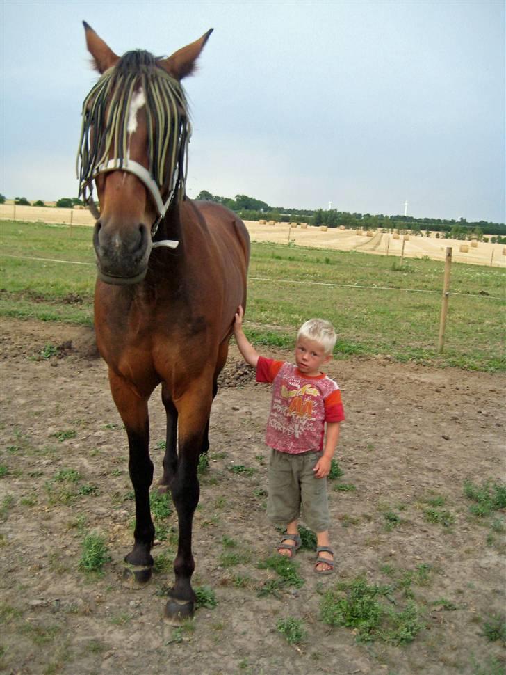 Traver Emcey - Mine to små drenge  billede 12