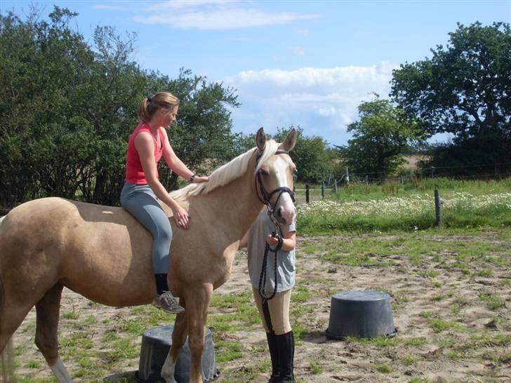 Palomino Movie Box - under tilridningen.. her er det anden gang min mor er oppe på hende billede 4