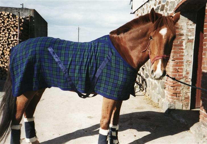 Anden særlig race Ferrari - Ferrari  billede 1