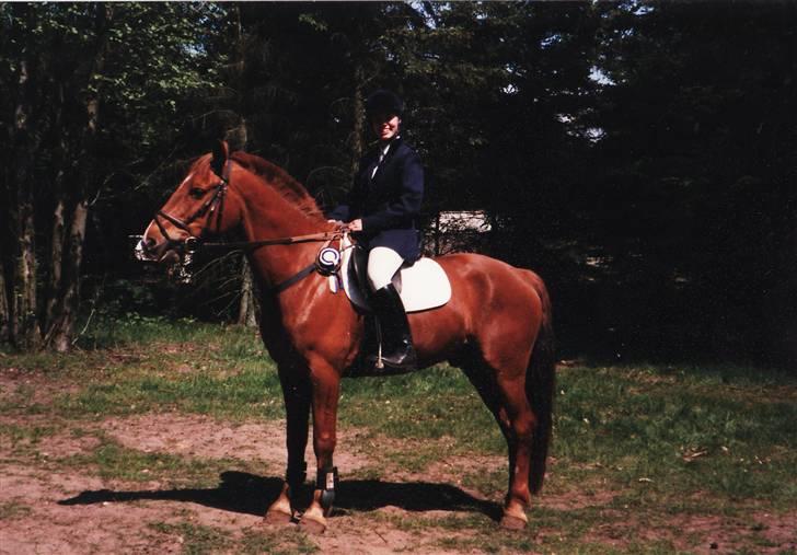 Anden særlig race Ferrari - Ferrari til springstævne i BIG billede 2