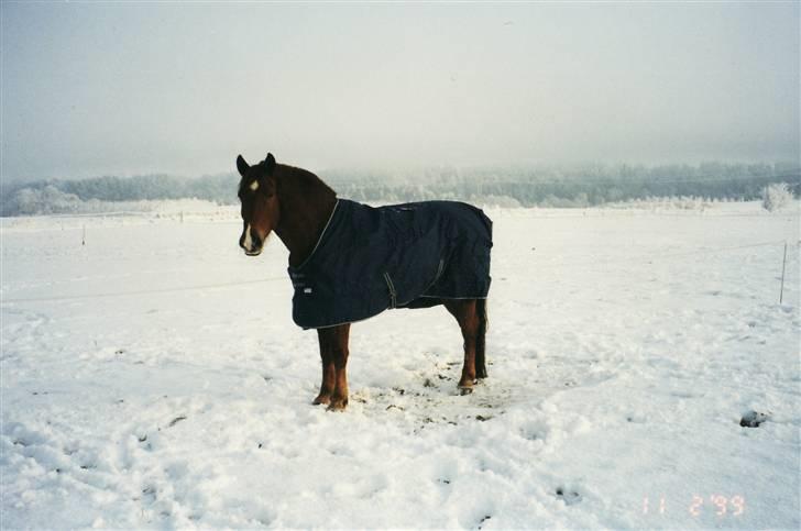 Anden særlig race Ferrari - Ferrari på fold billede 4