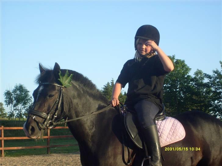 DSP sherrydan solgt :( - hyggelige dage og minder med dig, vil virkelig gerne have dig tilbage:´( billede 11