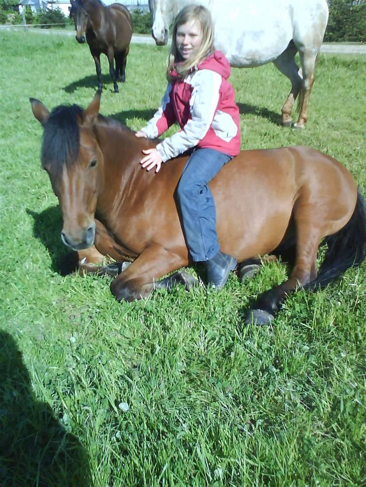 Anden særlig race Laban (søsters)- solgt billede 11