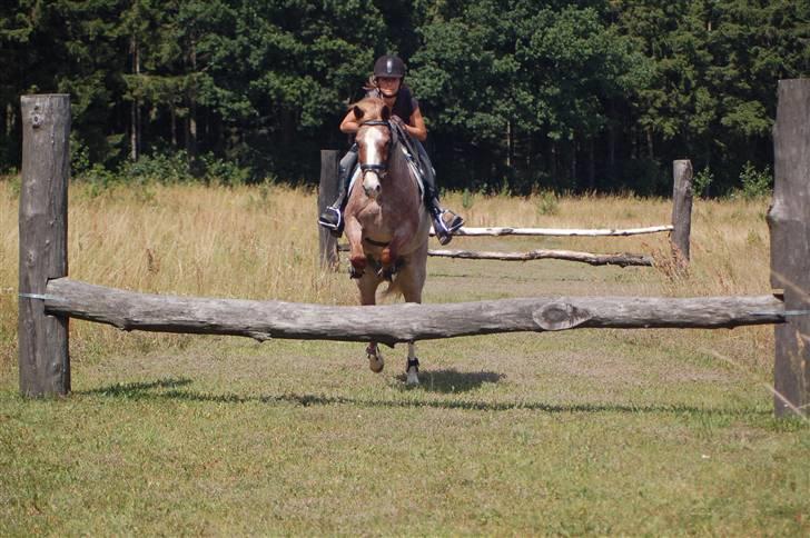 Anden særlig race Mario - Mario på naturspring  :) billede 8