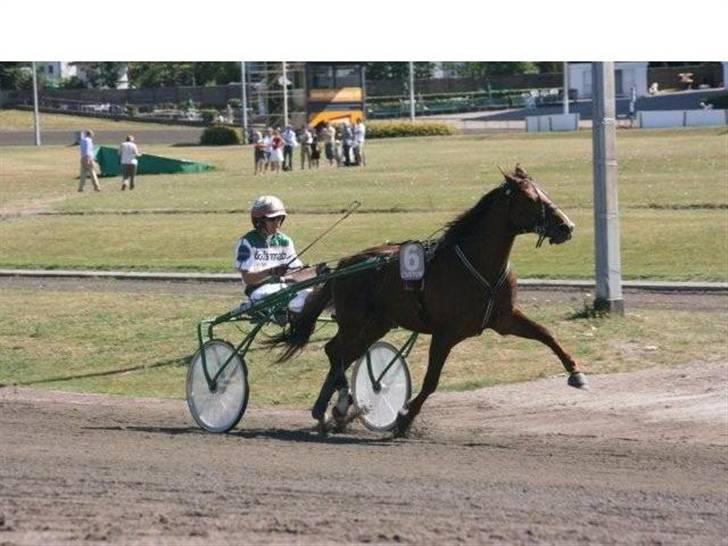 Traver Montana Sølvtop billede 2