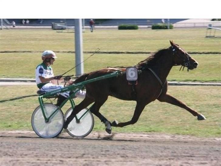 Traver Montana Sølvtop billede 3