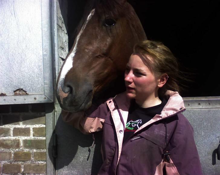 Traver Montana Sølvtop - Jeg ligner bare lort :s billede 4