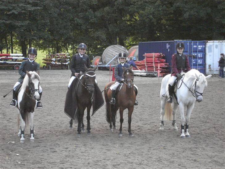 Welsh Pony af Cob-type (sec C) Napo Jack - Her hele holdet tidistriktmesterskabet, det er mig og Jack der står ved siden af den hvide pony.<3  billede 7