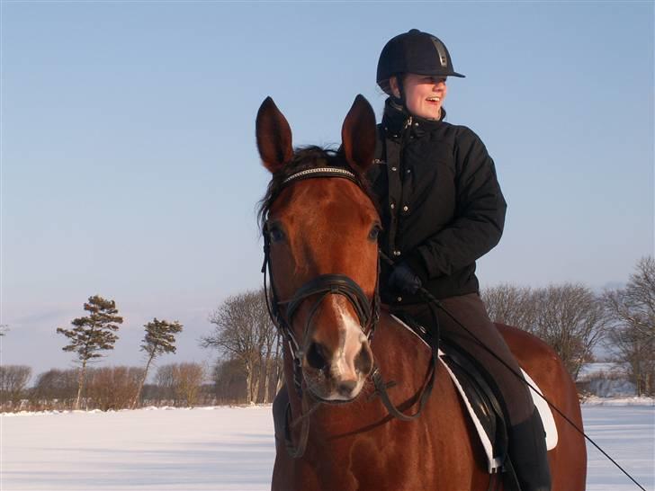 Dansk Varmblod Saxo Søndergård(R.I.P!) - Hejhej<3 billede 11