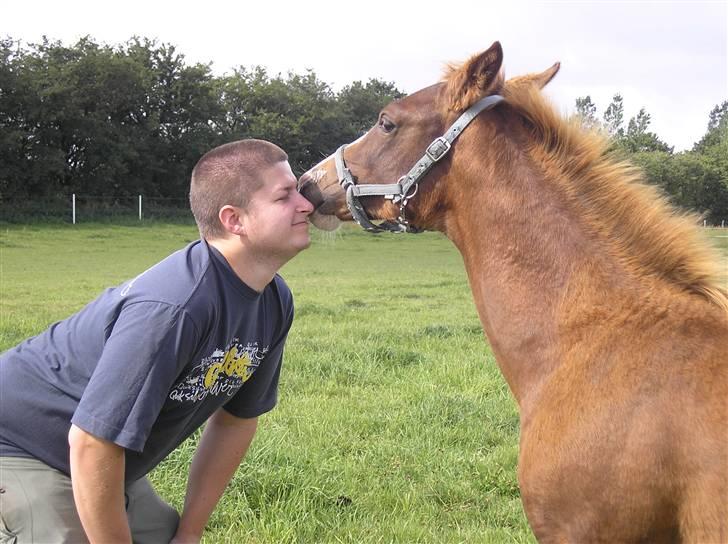 Anden særlig race Manifique Eto'o- SOLGT billede 20