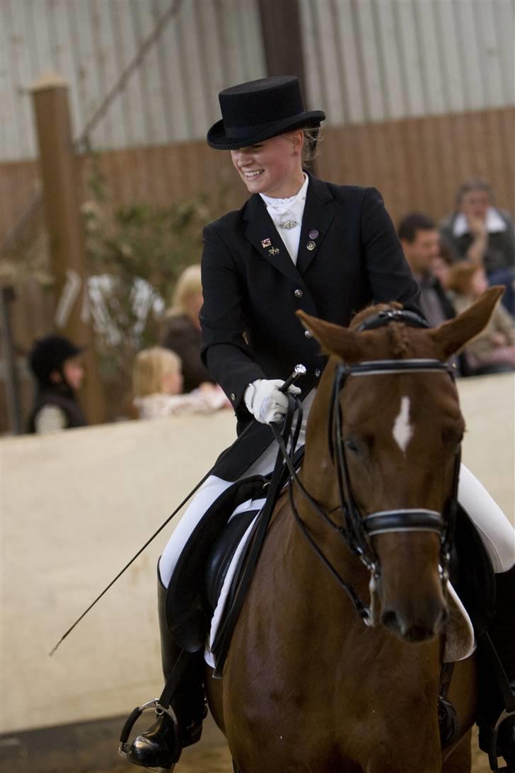 Dansk Varmblod Lizette Grand Prix hest i dressur billede 14