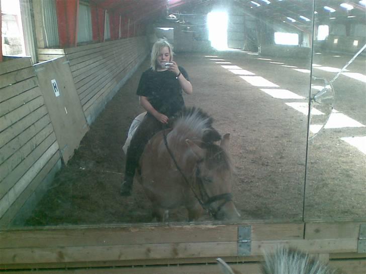 Fjordhest Pop (har passet) R.I.P<3 - taget idag <3 d. 2/8 o8 billede 11