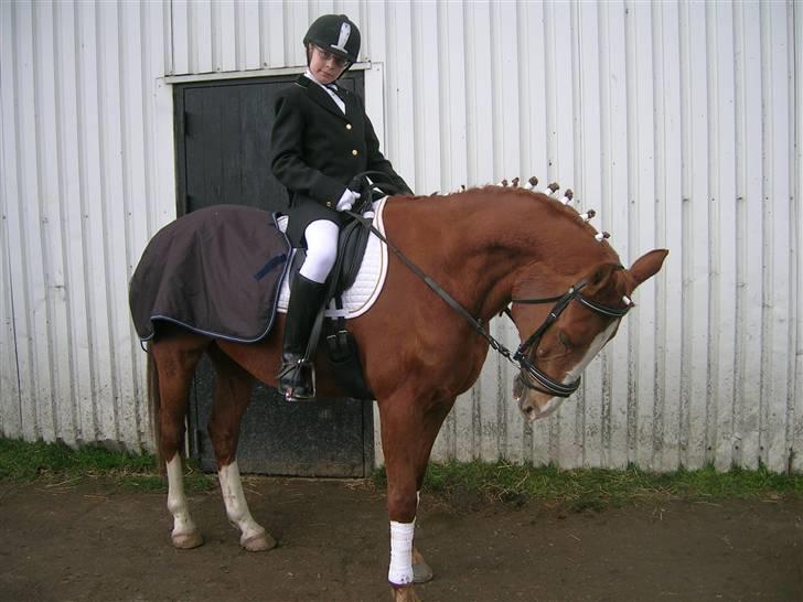 Anden særlig race Roland Garros R.I.P <3 - Venter på Resultat til Lc1 blev desværre ikke placeret (; Foto: Far eller mor billede 8