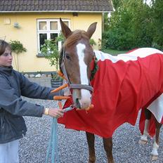 Anden særlig race | Fie † 2005 †  «3 