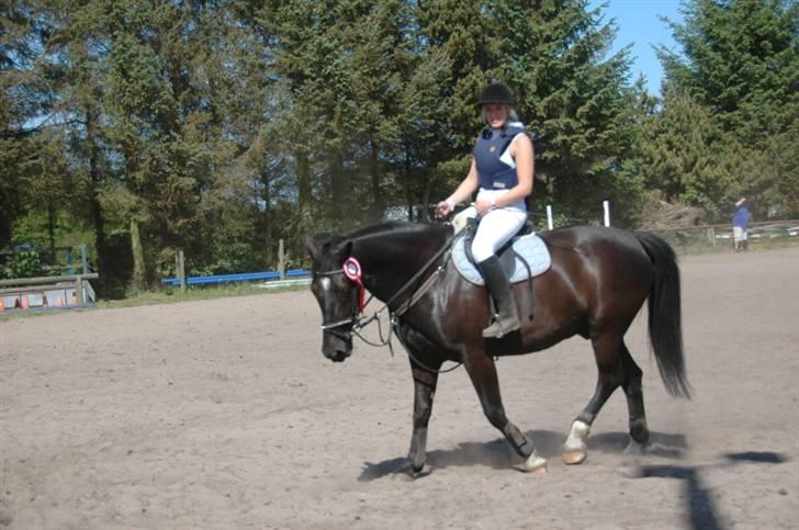 Oldenborg Kielstrupgårds MR. Malou  - LC i hals d. 24 maj billede 11