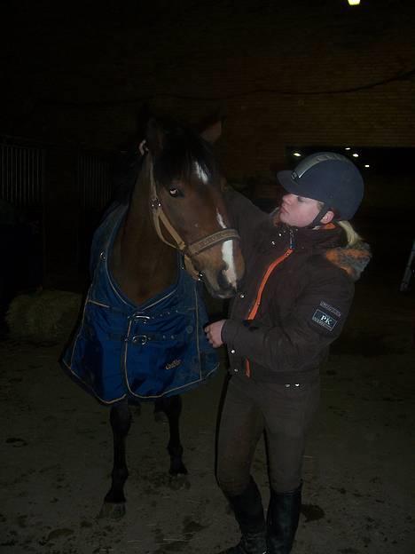 Tysk Sportspony Chemin De Royal  - Chemin ;D billede 16