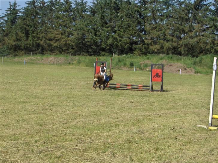 Shetlænder Knud - Fjends herreds rideklub. LE med min søster :D billede 3