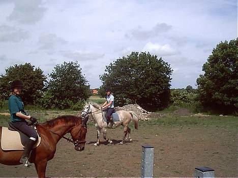 Anden særlig race Rasmus *R.I.P* - gammelt. billede 3