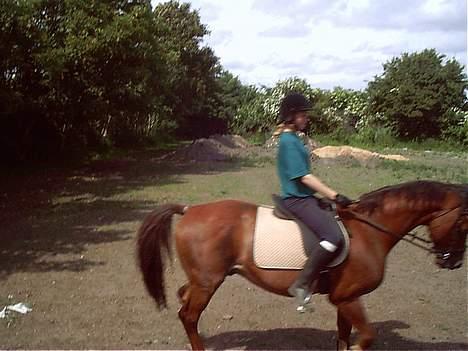 Anden særlig race Rasmus *R.I.P* - gammelt. billede 5