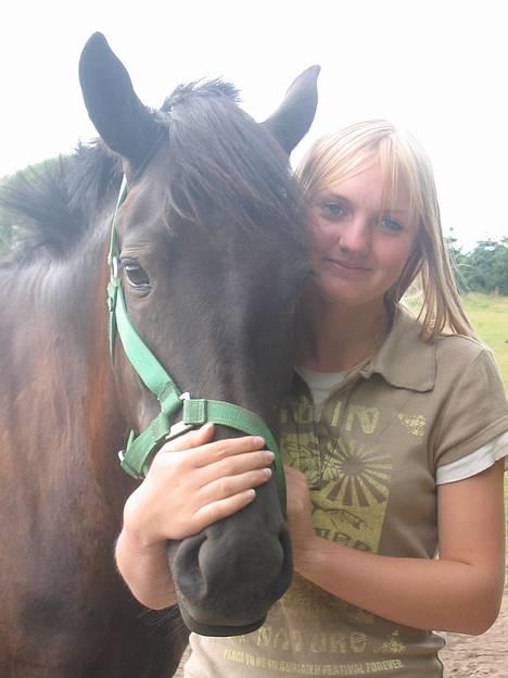 New Forest Navarra Død - jae mig og ponzen..! billede 3