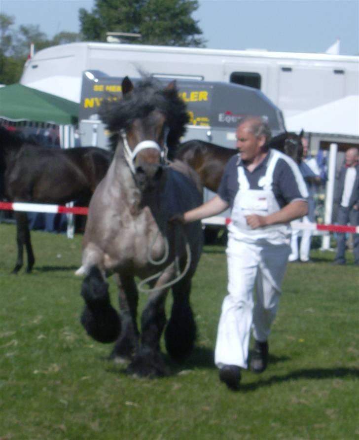 Belgier Chris De Balgerhoek BEH - 2009 billede 14