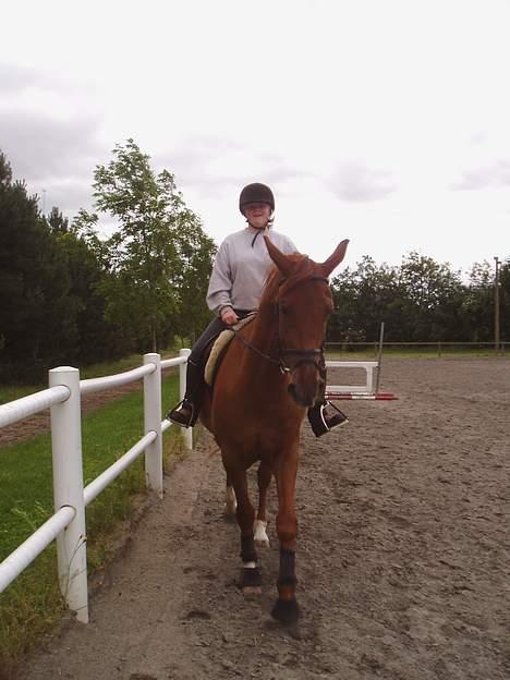 Dansk Varmblod Tjargo Star - Pernille, en pige jeg kender rider ham, da vi var nede og se ham første gang inden jeg købte ham. billede 2