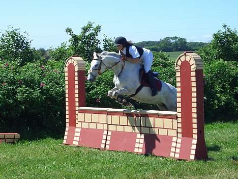 Anden særlig race Shadow - Højdespring^^ 95cm billede 16