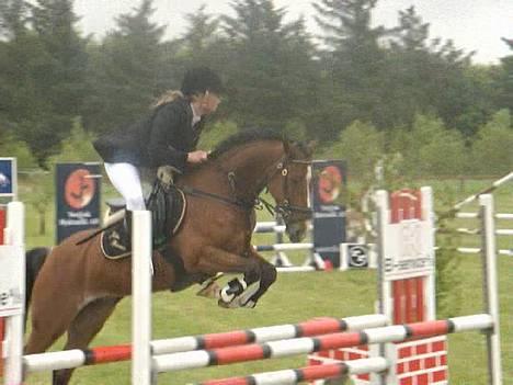 Hollandsk Sportspony Flying Duchess   SOLGT - dressur 25 dem<3 elsker dig flybabZ billede 16