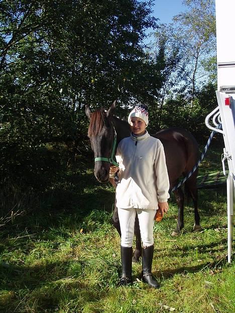 New Forest Navarra Død - til stævne mellem de to klasser.. jeg havde lige fået det varme tøj på:P.. billede 11