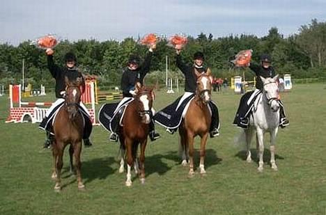 New Forest Odbjergs Pikant-solgt - Holdmesterskab i dressur hvor sao vandt, det er mig på den hvide pony billede 7