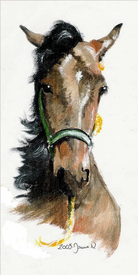 Anden særlig race Moon Shadow *SOLGT* - her er et maleri af Shadow fra da han var 2 år, jeg har selv malet det i akryl-maling. billede 2