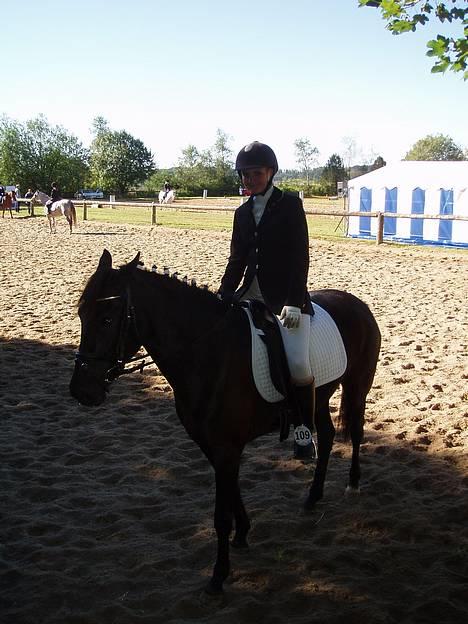 New Forest Navarra Død - ude på opvarmningen skulle vi lige stå model.. billede 16