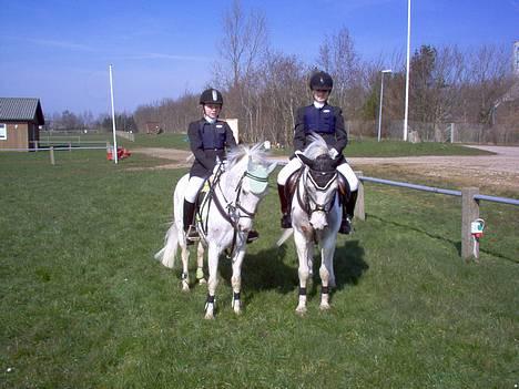 Anden særlig race Quila - springstævne i Sønder Hygum   billede 2