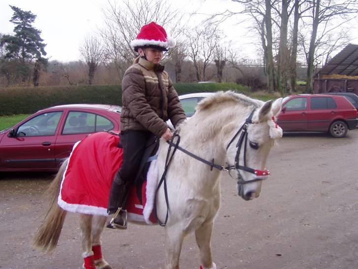 Anden særlig race Quila billede 3