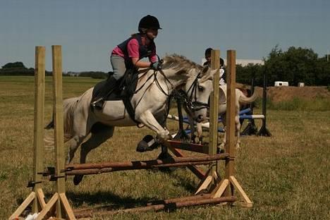 Anden særlig race Quila - ridelejr ved min springlære.. billede 6