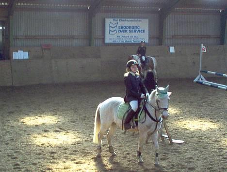 Anden særlig race Quila - springstævne i Sønder Hygum   billede 12