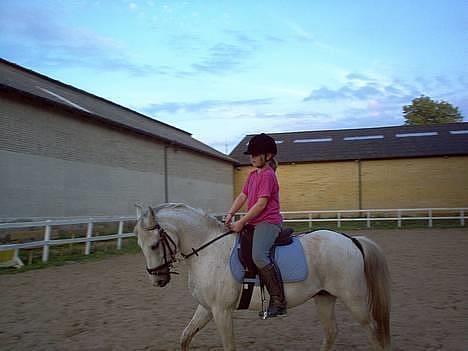 Anden særlig race Quila billede 14