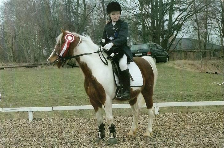 Anden særlig race Valentin - 2003 Vinder af LC (Vi vandt også LD´en)  billede 1