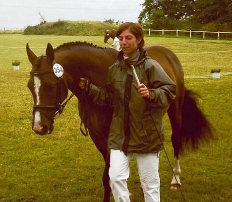 Dansk Varmblod Anika-Kick. - Anika efter bedømmelse D 6-7-05 (godt tilfreds) billede 4