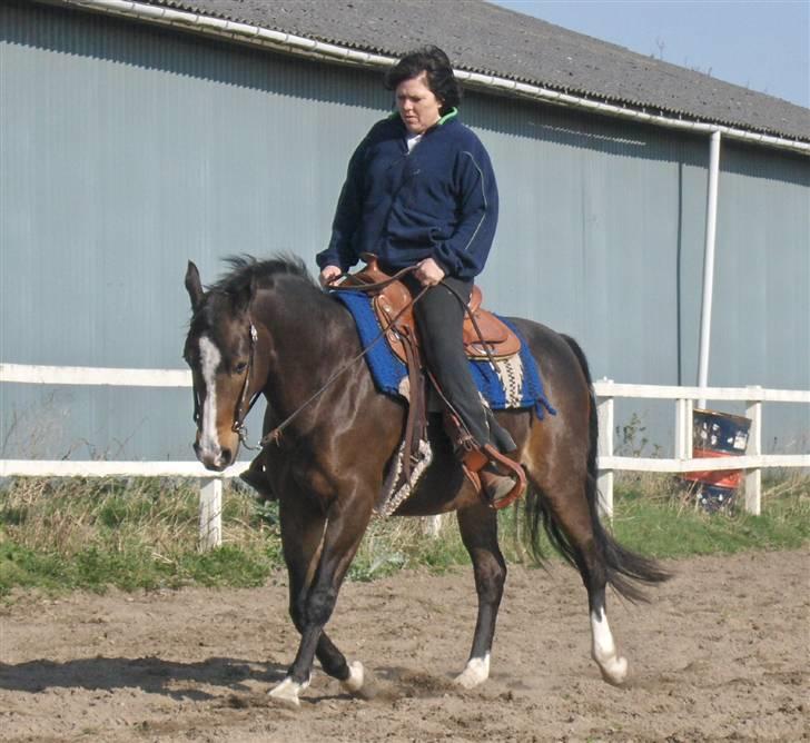 Dansk Varmblod Anika-Kick. - anika-kick 2008 billede 12