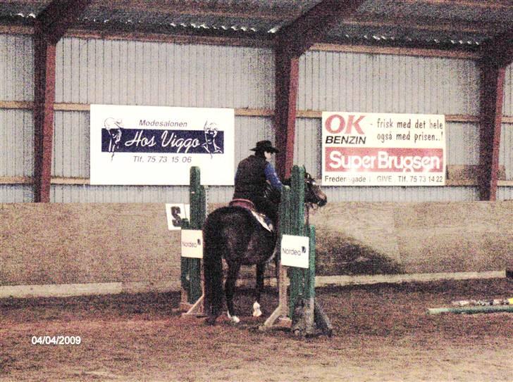 Dansk Varmblod Anika-Kick. - Stævne Give, lågen, fik en 2.plads i Trail billede 14