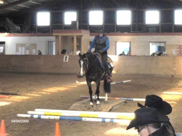 Dansk Varmblod Anika-Kick. - stævne Give, broen  billede 17